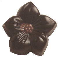 chocflower.gif